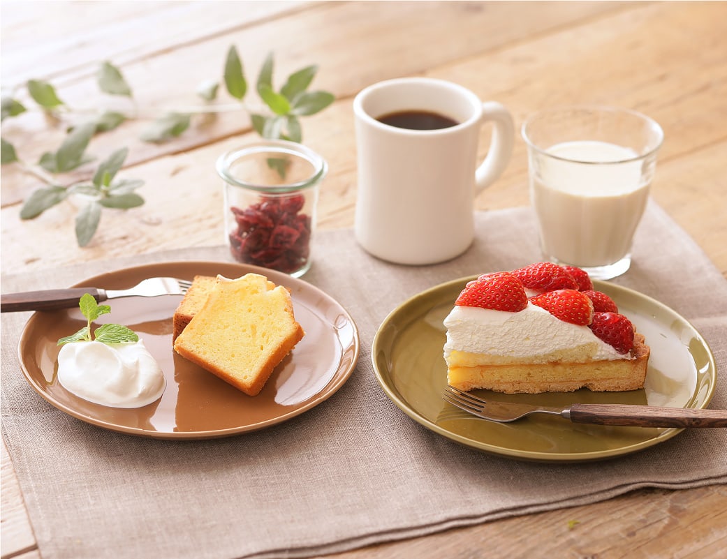 【美品】 パシュミナ プレート2枚セット グッドデザイン賞受賞!【miyama.】isolaパレットプレートM 5枚セット